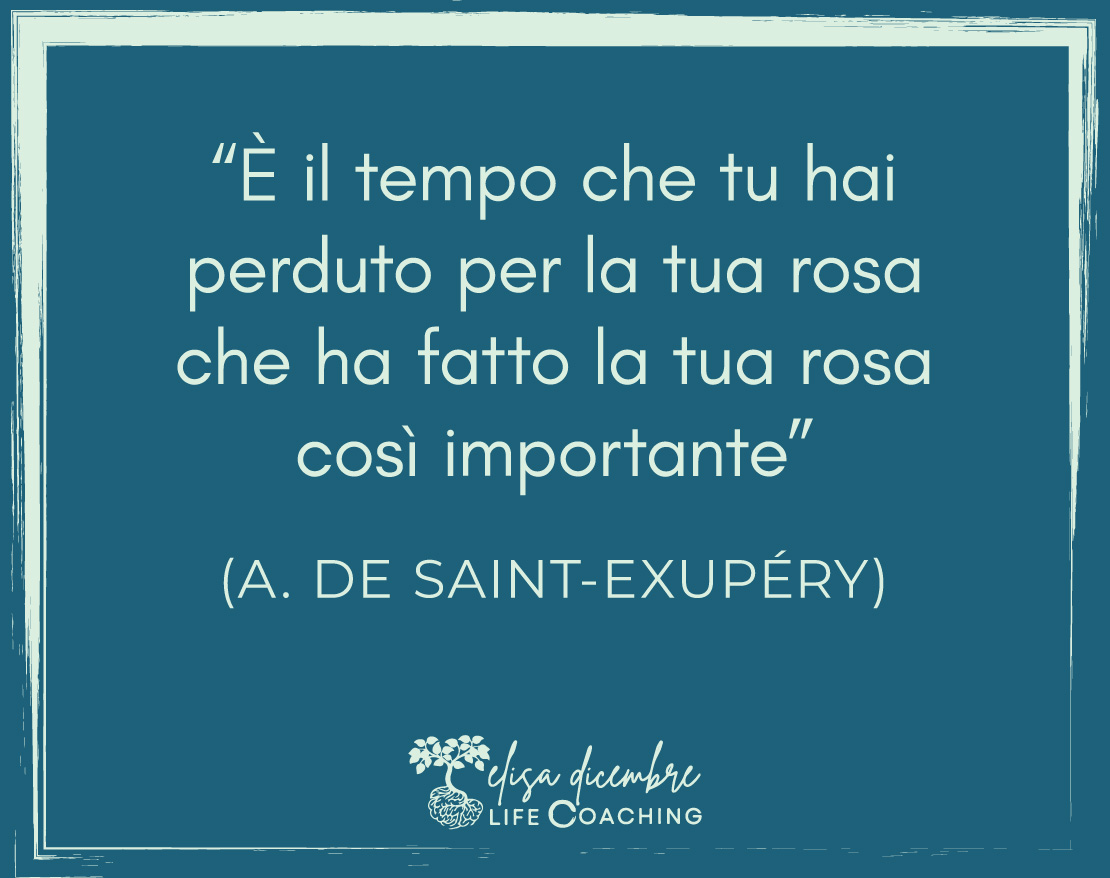 Sessioni